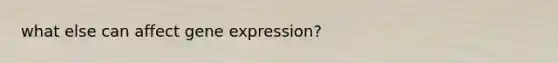 what else can affect gene expression?