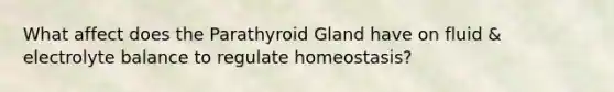 What affect does the Parathyroid Gland have on fluid & electrolyte balance to regulate homeostasis?