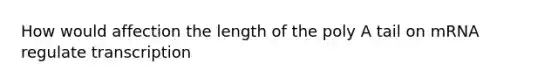 How would affection the length of the poly A tail on mRNA regulate transcription