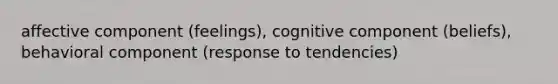 affective component (feelings), cognitive component (beliefs), behavioral component (response to tendencies)