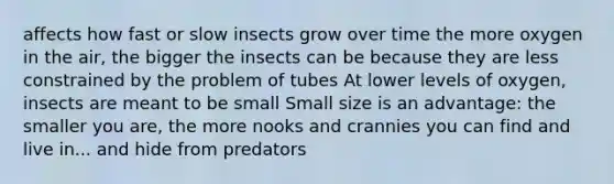 affects how fast or slow insects grow over time the more oxygen in the air, the bigger the insects can be because they are less constrained by the problem of tubes At lower levels of oxygen, insects are meant to be small Small size is an advantage: the smaller you are, the more nooks and crannies you can find and live in... and hide from predators