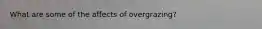 What are some of the affects of overgrazing?