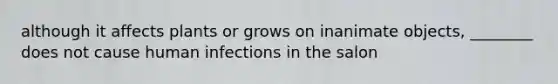 although it affects plants or grows on inanimate objects, ________ does not cause human infections in the salon