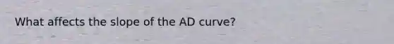 What affects the slope of the AD curve?