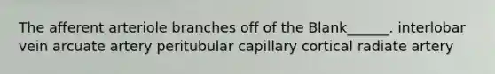 The afferent arteriole branches off of the Blank______. interlobar vein arcuate artery peritubular capillary cortical radiate artery