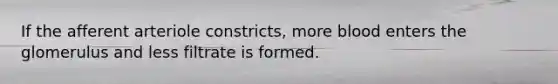 If the afferent arteriole constricts, more blood enters the glomerulus and less filtrate is formed.