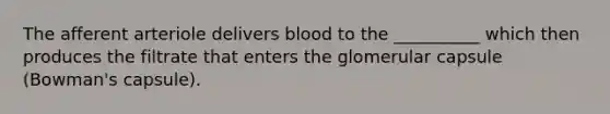 The afferent arteriole delivers blood to the __________ which then produces the filtrate that enters the glomerular capsule (Bowman's capsule).