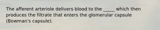 The afferent arteriole delivers blood to the _____ which then produces the filtrate that enters the glomerular capsule (Bowman's capsule).