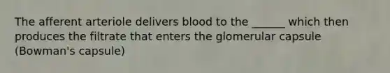 The afferent arteriole delivers blood to the ______ which then produces the filtrate that enters the glomerular capsule (Bowman's capsule)