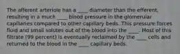 The afferent arteriole has a ____ diameter than the efferent, resulting in a much ____ blood pressure in the glomerular capillaries compared to other capillary beds. This pressure forces fluid and small solutes out of the blood into the ____. Most of this filtrate (99 percent) is eventually reclaimed by the ____ cells and returned to the blood in the ____ capillary beds.