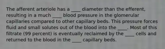 The afferent arteriole has a ____ diameter than the efferent, resulting in a much ____ blood pressure in the glomerular capillaries compared to other capillary beds. This pressure forces fluid and small solutes out of the blood into the ____. Most of this filtrate (99 percent) is eventually reclaimed by the ____ cells and returned to the blood in the ____ capillary beds.