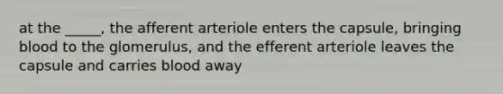 at the _____, the afferent arteriole enters the capsule, bringing blood to the glomerulus, and the efferent arteriole leaves the capsule and carries blood away