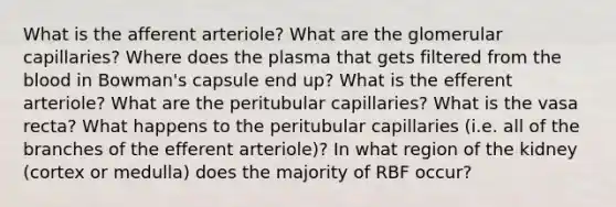 What is the afferent arteriole? What are the glomerular capillaries? Where does the plasma that gets filtered from the blood in Bowman's capsule end up? What is the efferent arteriole? What are the peritubular capillaries? What is the vasa recta? What happens to the peritubular capillaries (i.e. all of the branches of the efferent arteriole)? In what region of the kidney (cortex or medulla) does the majority of RBF occur?