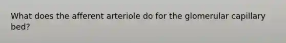 What does the afferent arteriole do for the glomerular capillary bed?