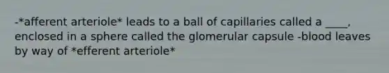 -*afferent arteriole* leads to a ball of capillaries called a ____, enclosed in a sphere called the glomerular capsule -blood leaves by way of *efferent arteriole*