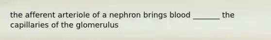 the afferent arteriole of a nephron brings blood _______ the capillaries of the glomerulus