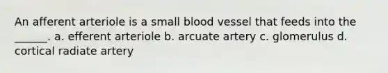 An afferent arteriole is a small blood vessel that feeds into the ______. a. efferent arteriole b. arcuate artery c. glomerulus d. cortical radiate artery