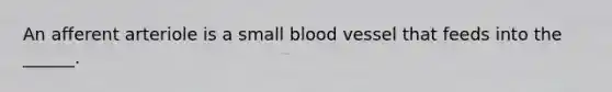 An afferent arteriole is a small blood vessel that feeds into the ______.