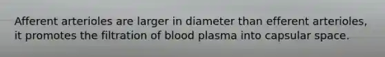 Afferent arterioles are larger in diameter than efferent arterioles, it promotes the filtration of blood plasma into capsular space.