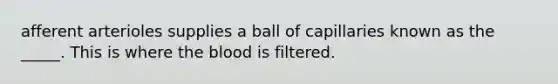 afferent arterioles supplies a ball of capillaries known as the _____. This is where the blood is filtered.