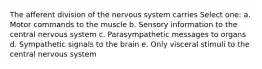 The afferent division of the nervous system carries Select one: a. Motor commands to the muscle b. Sensory information to the central nervous system c. Parasympathetic messages to organs d. Sympathetic signals to the brain e. Only visceral stimuli to the central nervous system