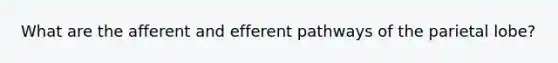 What are the afferent and efferent pathways of the parietal lobe?