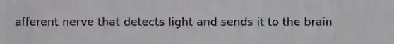 afferent nerve that detects light and sends it to the brain