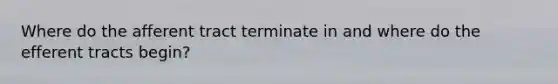 Where do the afferent tract terminate in and where do the efferent tracts begin?