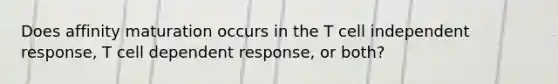 Does affinity maturation occurs in the T cell independent response, T cell dependent response, or both?