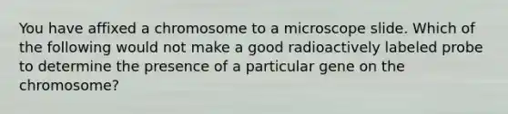 You have affixed a chromosome to a microscope slide. Which of the following would not make a good radioactively labeled probe to determine the presence of a particular gene on the chromosome?