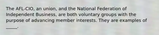 The AFL-CIO, an union, and the National Federation of Independent Business, are both voluntary groups with the purpose of advancing member interests. They are examples of _____.