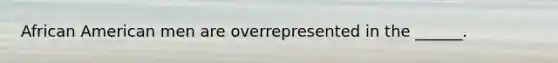 African American men are overrepresented in the ______.