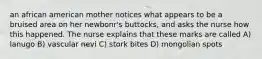 an african american mother notices what appears to be a bruised area on her newbonr's buttocks, and asks the nurse how this happened. The nurse explains that these marks are called A) lanugo B) vascular nevi C) stork bites D) mongolian spots