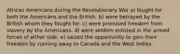 African Americans during the Revolutionary War a) fought for both the Americans and the British. b) were betrayed by the British whom they fought for. c) were promised freedom from slavery by the Americans. d) were seldom enlisted in the armed forces of either side. e) seized the opportunity to gain their freedom by running away to Canada and the West Indies.