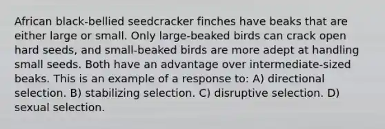 African black-bellied seedcracker finches have beaks that are either large or small. Only large-beaked birds can crack open hard seeds, and small-beaked birds are more adept at handling small seeds. Both have an advantage over intermediate-sized beaks. This is an example of a response to: A) directional selection. B) stabilizing selection. C) disruptive selection. D) sexual selection.