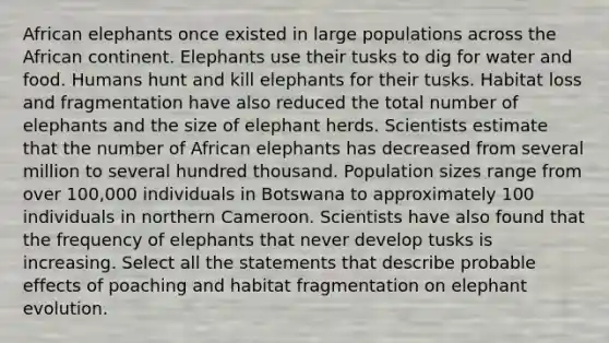 African elephants once existed in large populations across the African continent. Elephants use their tusks to dig for water and food. Humans hunt and kill elephants for their tusks. Habitat loss and fragmentation have also reduced the total number of elephants and the size of elephant herds. Scientists estimate that the number of African elephants has decreased from several million to several hundred thousand. Population sizes range from over 100,000 individuals in Botswana to approximately 100 individuals in northern Cameroon. Scientists have also found that the frequency of elephants that never develop tusks is increasing. Select all the statements that describe probable effects of poaching and habitat fragmentation on elephant evolution.