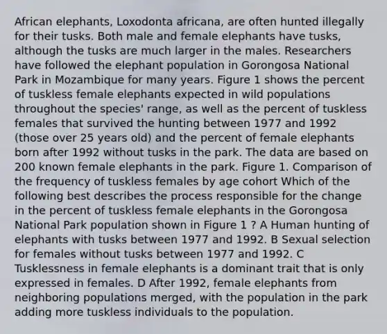 African elephants, Loxodonta africana, are often hunted illegally for their tusks. Both male and female elephants have tusks, although the tusks are much larger in the males. Researchers have followed the elephant population in Gorongosa National Park in Mozambique for many years. Figure 1 shows the percent of tuskless female elephants expected in wild populations throughout the species' range, as well as the percent of tuskless females that survived the hunting between 1977 and 1992 (those over 25 years old) and the percent of female elephants born after 1992 without tusks in the park. The data are based on 200 known female elephants in the park. Figure 1. Comparison of the frequency of tuskless females by age cohort Which of the following best describes the process responsible for the change in the percent of tuskless female elephants in the Gorongosa National Park population shown in Figure 1 ? A Human hunting of elephants with tusks between 1977 and 1992. B Sexual selection for females without tusks between 1977 and 1992. C Tusklessness in female elephants is a dominant trait that is only expressed in females. D After 1992, female elephants from neighboring populations merged, with the population in the park adding more tuskless individuals to the population.