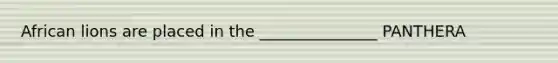 African lions are placed in the _______________ PANTHERA