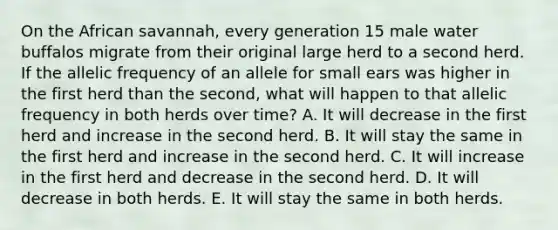 On the African savannah, every generation 15 male water buffalos migrate from their original large herd to a second herd. If the allelic frequency of an allele for small ears was higher in the first herd than the second, what will happen to that allelic frequency in both herds over time? A. It will decrease in the first herd and increase in the second herd. B. It will stay the same in the first herd and increase in the second herd. C. It will increase in the first herd and decrease in the second herd. D. It will decrease in both herds. E. It will stay the same in both herds.