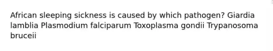 African sleeping sickness is caused by which pathogen? Giardia lamblia Plasmodium falciparum Toxoplasma gondii Trypanosoma bruceii