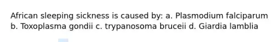 African sleeping sickness is caused by: a. Plasmodium falciparum b. Toxoplasma gondii c. trypanosoma bruceii d. Giardia lamblia