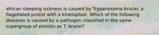 african sleeping sickness is caused by Trypanosoma brucei, a flagellated protist with a kinetoplast. Which of the following diseases is caused by a pathogen classified in the same supergroup of protists as T. brucei?