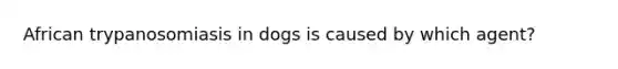 African trypanosomiasis in dogs is caused by which agent?