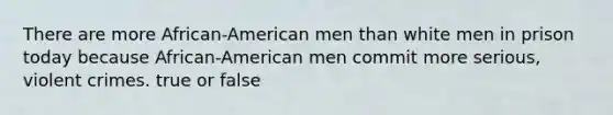 There are more African-American men than white men in prison today because African-American men commit more serious, violent crimes. true or false