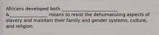 Africans developed both _________________________ &_________________ means to resist the dehumanizing aspects of slavery and maintain their family and gender systems, culture, and religion.