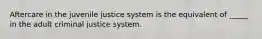 Aftercare in the juvenile justice system is the equivalent of _____ in the adult criminal justice system.