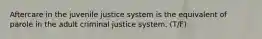 Aftercare in the juvenile justice system is the equivalent of parole in the adult criminal justice system. (T/F)