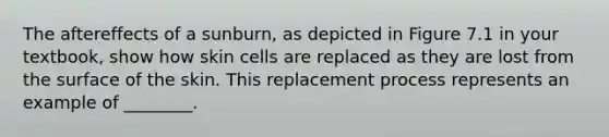 The aftereffects of a sunburn, as depicted in Figure 7.1 in your textbook, show how skin cells are replaced as they are lost from the surface of the skin. This replacement process represents an example of ________.