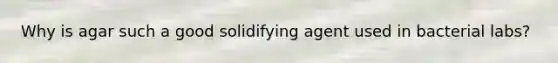 Why is agar such a good solidifying agent used in bacterial labs?