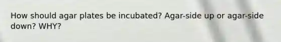 How should agar plates be incubated? Agar-side up or agar-side down? WHY?